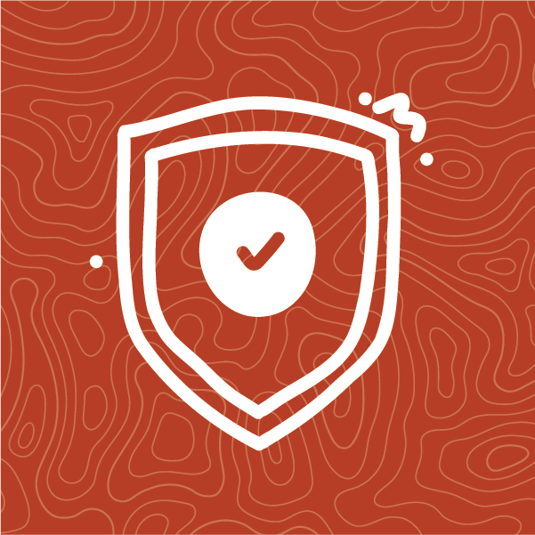 Illustration of a sheild